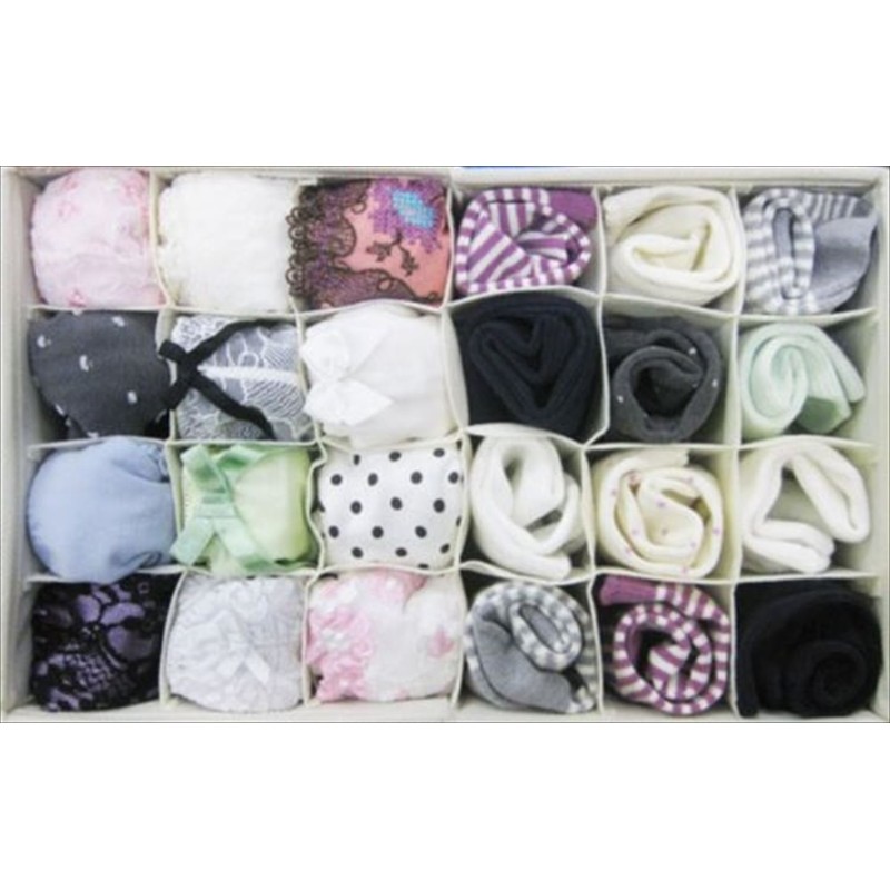 Toyo Case Partitioned Storage Box;