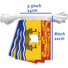 20 PCS New Brunswick Flag String,20 FT Canada NB Bunting,Decoration Banner for Outdoor Indoor Patio Yard Decor