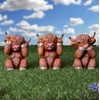 Kilts Wi Hae Three Wise Highland Cows Coos - Hear