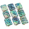 Amogeeli 4pcs Abalone Shell Brass Cabinet Knobs Set with Screws,