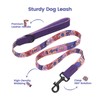 PawView Dog Collar & Lead Set with QR Code ID