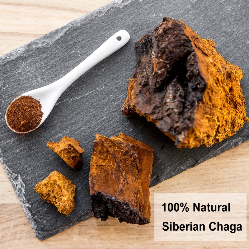 TEARELAE - Chaga Tea - 2g x 40 Count -
