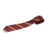 HENBRANDT Wizard School Red and Gold Fancy Dress Tie