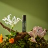 테일러센츠 릴렉싱 아로마 롤온 르 캄 드 파리 15ml Relaxing