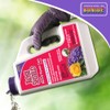 Bonide Rose Shield Systemic Rose & Flower Care, 6 lbs.