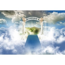 AOFOTO 10x7ft Stairway to Heaven Backdrop Paradise Gate Sky Clouds Stairs Photography Background Holy Light Heaven Sent Baby Shower Baptism Religion Church Christian Easter Party Banner Photo Props
