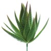 SilksAreForever 6" Real Touch Aloe Artificial Stem Pick -Green (Pack