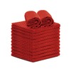 TALVANIA Dishcloths for Kitchen Cotton Terry Dish Cloths 12 Pack