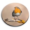 1 x Round MDF Magnet - Red Robin Bird Garden