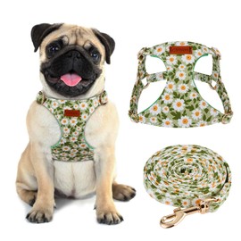 CHEDE No Pull Floral Pattern Dog Harness- Lightweight and Soft Dog Harness, Adjustable Small Dog Harness and Leash Set, with Dog Leash, Suitable for Puppy Small and Medium-Sized Dog (S, Green Daisy)