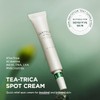 SKIN1004 Madagascar Centella Tea-Trica Spot Cream 20ml (Renewal)