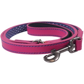 Rosewood Joules Pink Leather Dog Lead