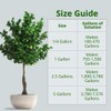 Humboldts Secret Tree Trunk - Silicate Additive - Advanced Nutrients