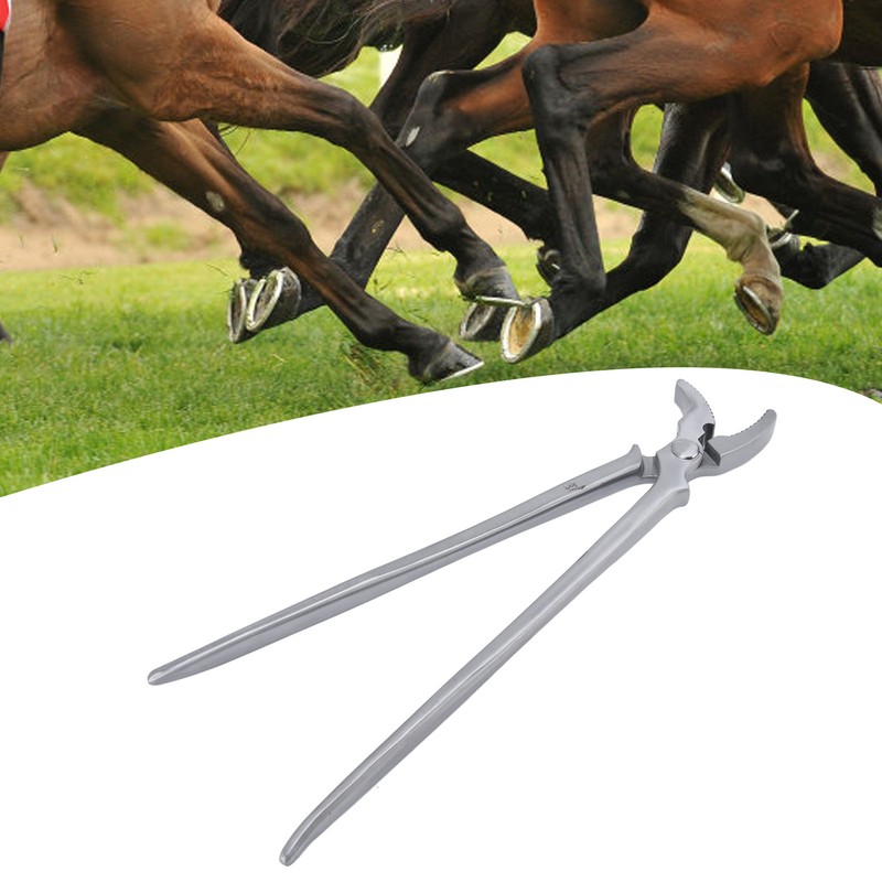 Horse Clincher High Strength Steel Rust Resistant Wear Resistant Hoof