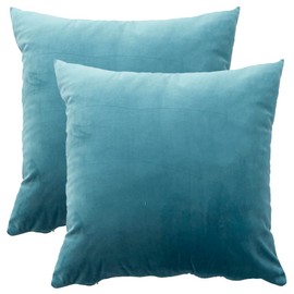 Tennove Throw Pillow Covers 18x18Inch Soft Solid Velvet Pillowcase Set of 2 Square Decorative Cushion Covers for Home Sofa Bed Chair Decor