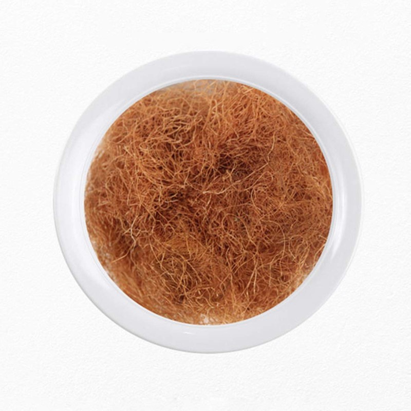 Herbal No Impurity Dry Corn Silk Tea Pure Natural Non-bagged