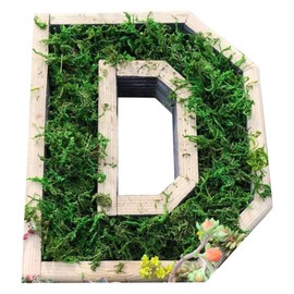 QUINTRA Decorative Wall Wooden Letters with Artificial Succulents Bryophytes Vertical Artificial Garden Pots Living Wall Art Flower Pots (D, One Size)