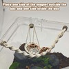 Jumping Spider Rope Bridge Swings with Magnets, Magnetic Jumping Spider