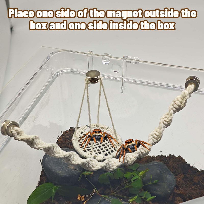 Jumping Spider Rope Bridge Swings with Magnets, Magnetic Jumping Spider