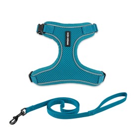 Voyager Escape Proof Cat Harness and Leash Set with Reflective Stitching, Neoprene Handle 5ft - Supports Small, Medium and Large Cats, Kittens for Walking by Best Pet Supplies - Turquoise, XS