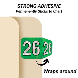 2026 Year Stickers, Doctor Stuff 2026 Chart Stickers, Holographic Green Color Coded, USA Made Year Labels for End Tab File Folders, 500 Labels/Roll in a Dispenser Box, 3/4" x 1-1/2"