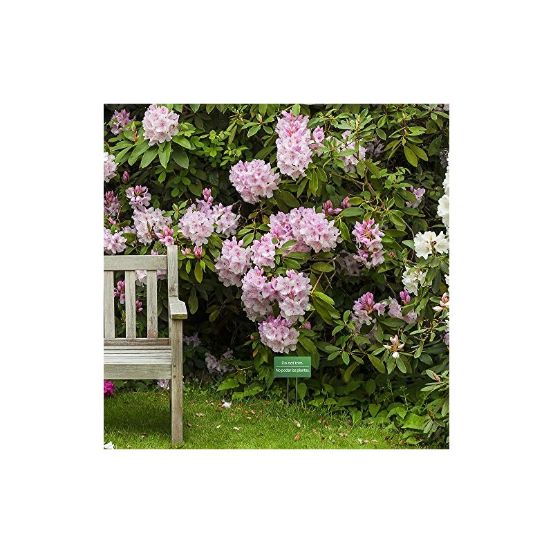 Do Not Trim Acrylic Yard Sign, Bilingual Plant Signs, Garden