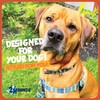 2 Hounds Design - Freedom No-Pull Harness & Training Leash
