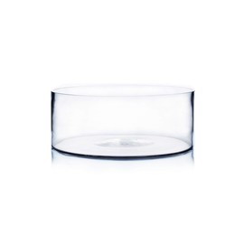 WGV Cylinder Vase, Open Width 10", Height 4", Clear Flat Pan Style Container, Planter Terrarium, Floral Centerpiece for Wedding Party Event, Home Office Decor, 1 Piece