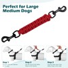 PetBonus Dog Collar Safety Clip, Handmade Backup Safety Strap for