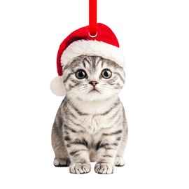 SICOHOME Grey Tabby Cat Christmas Ornament - Lovable Acrylic Tabby Cat Ornament for Christmas Tree Tabby Cat Christmas Decor Indoor Car Mirror (2D)