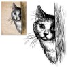 Cat Background Clear Stamps for Card Making, Peeking Cat Animal