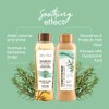 ANYELUZ Set De Champú Y Acondicionador De Romero - Con