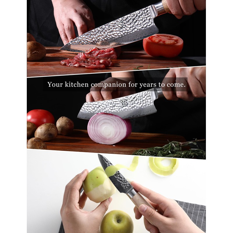 Jingseiho Professional Knife Set - VG-10 67-Layer Damascus Forged Steel,