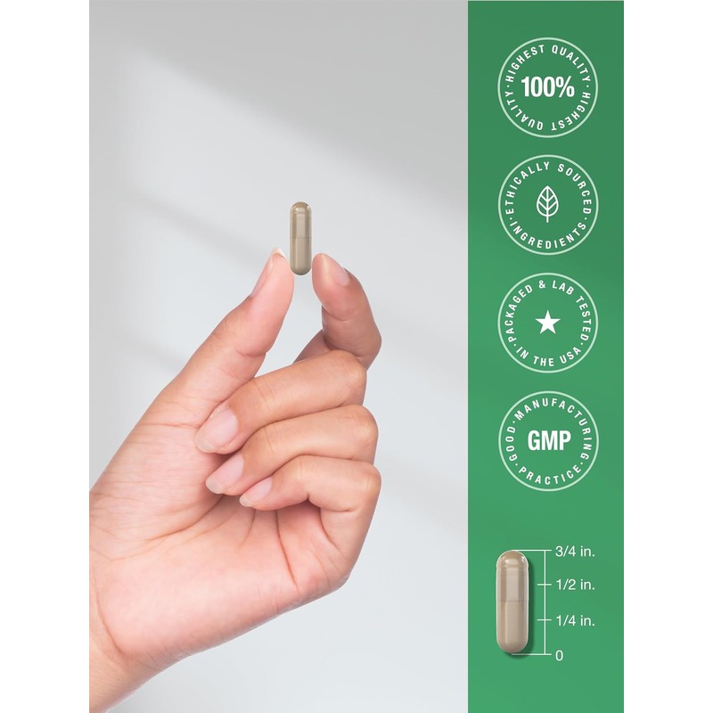 Horbäach Milk Thistle Supplement | 3000mg | 300 Capsules |