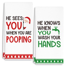 RZQIJ Red and Green Santa Towels Dish Towels Dishcloth, Funny Winter Christmas Holiday Decor for Kitchen Bathroom Home, 16 x 24 Farmhouse Decoration Hand Towels Set of 2. (065)