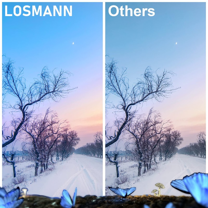 LOSMANN 18XL Printer Cartridges Compatible with Epson 18 XL Multipack