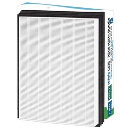 Breathe Naturally Replacement Filters Compatible with Winix C535, Plasmawave 5300, 6300 and Aeramax 300/290 Air Purifiers - HEPA Filters - Carbon Activated Filter (1 HEPA Filter + 4 Carbon Prefilters)