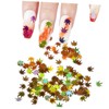 Ipetboom 2sets Nail Art Stickers Maple Leaf Design DIY Manicure