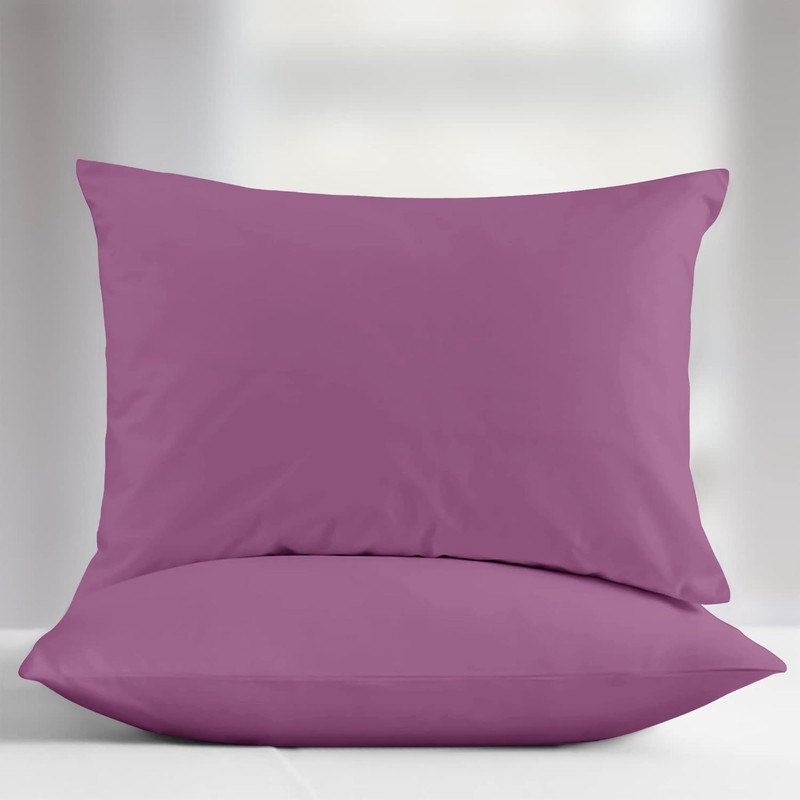 Aspire Homeware Pillow Cases 2 Pack – 100% Brushed Microfiber