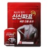 All-in-One Large Heat Patch for Waist (10cm x 14cm, 5 Count) Back Patch 2ea