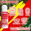 VAL Lombardi Magnesium Roll-On 3oz | Zechstein Magnesium + Arnica