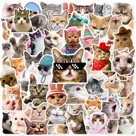 98 PCS Funny Cat Stickers, Cute Cat Sticker for Laptop Scrapbook, Water Bottles, Guitar, Suitcase Phone, Snowboard, Cat Sticker Waterproof Vinyl for Water Bottle