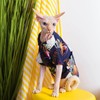 Cat Hawaiian Shirt, Summer Cat Clothes for Sphynx Cat Devon