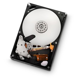HGST Ultrastar 3.5-Inch 500GB 7200RPM SATA II 16 MB Cache Enterprise Hard Drive with 24x7 Duty Cycle (0F11000)