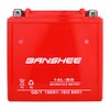 Banshee YTX14L-BS AGM Battery with 4 Year Warranty
