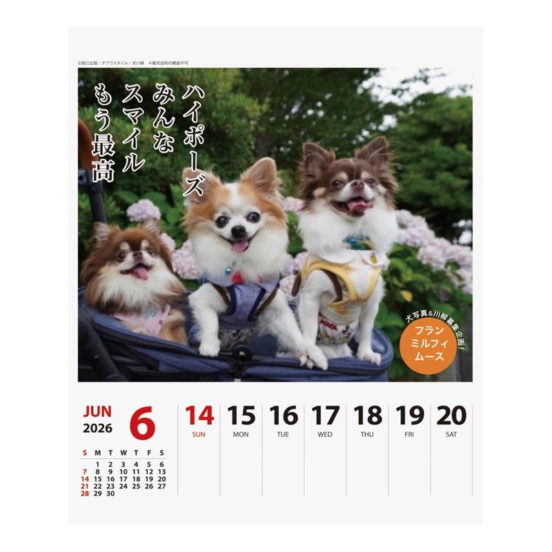2026 Calendar Chihuahua Senryū (Weekly Flip)