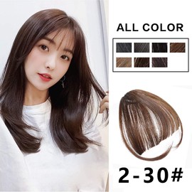 PARAHAIR Clip in Bangs Synthetic Hair Extensions One Piece in Fringe Natural Flat Air Bangs for Women (With Temples, 2/30# Dark Brown&Light Auburn)