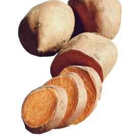 Beauregard Seed Sweet Potatoes Non GMO for Planting or Cooking, New Crop (1 lb)