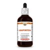 Asafoetida (Ferula Assa-foetida) Dry Herb Tincture, Made in Hawaii, Raw