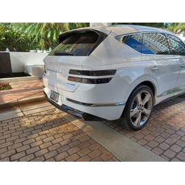 Bling Lights Brand Tinted Taillight Film Covers for 2023 2024 2025 Hyundai Palisade